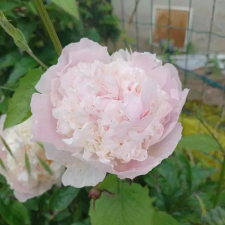 Logis Des Pivoines Holiday home